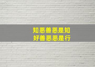 知恶善恶是知 好善恶恶是行